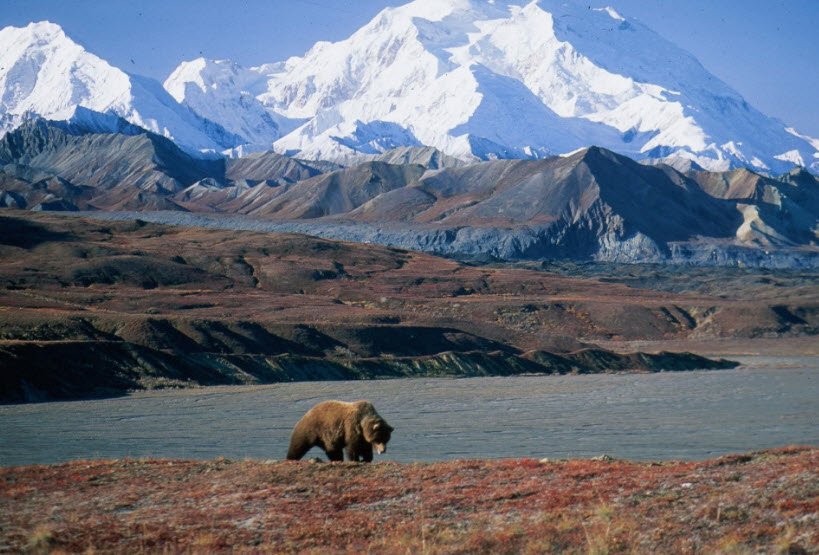 Denali National Park (Alaska)
